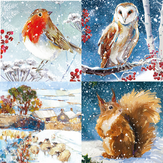 Winter Wildlife Christmas Cards, Box Of 24