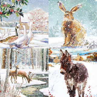 Winter Wildlife Christmas Cards, Box Of 24