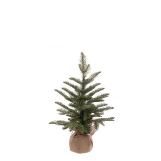 Pine Tree In Burlap 50cm