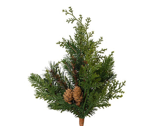 Cypress Branch Spray
