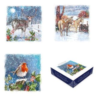 Winter Scenes Christmas Cards, Box Of 12