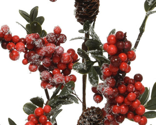 Winter Stem with Frosted Berries & Pinecones