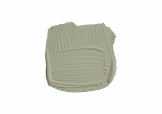 100ml Sample Pot Lichen No. 19