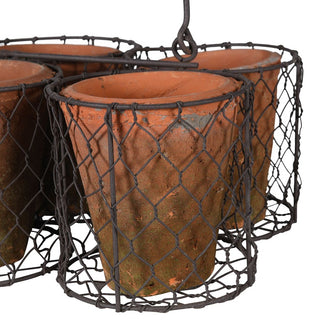 Small Pots In Basket Caddy