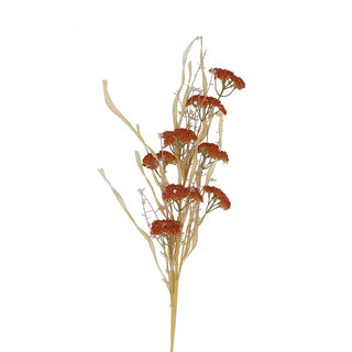 Orange Wild Achillea Spray