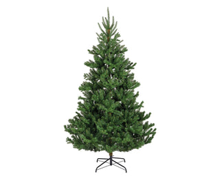 Alba Fir Christmas Tree 180cm