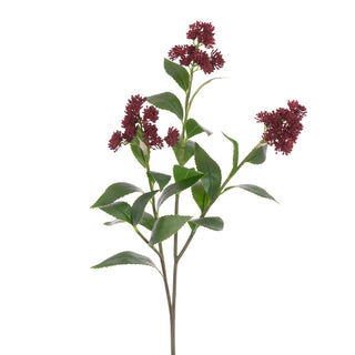 Skimmia Spray Burgundy