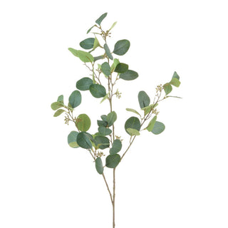 Eucalyptus Spray w/Berries