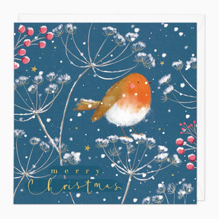 Robin & Cow Parsley Christmas Card