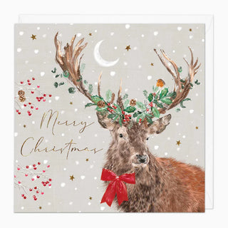 Robin In The Antlers Christmas Card