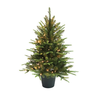 English Pine Led 3' Potted Tree