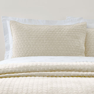Attica Velvet Natural Pillowsham Pair