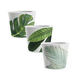 Amazon Floral Set of 3 Ice Cream Bowls