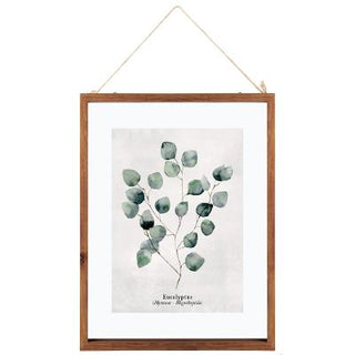 Eucalyptus Photo Print Frame