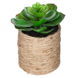 Rosette Artificial Succulent Rope Pot