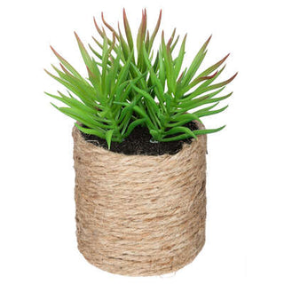 Devil's Horn Artificial Succulent Rope Pot