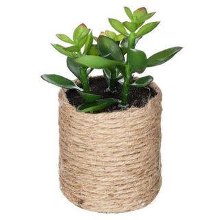 Money Tree Artificial Succulent Rope Pot