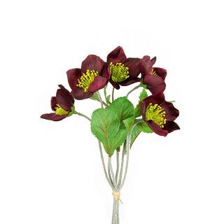 Burgandy Hellebore Bundle 30cm