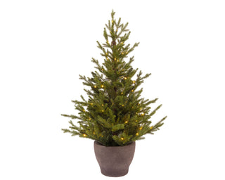 Norway Potted LED Tree 120cm
