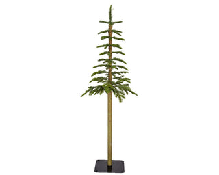 Alpine Fir Evergreen Slim Tree 1.8m