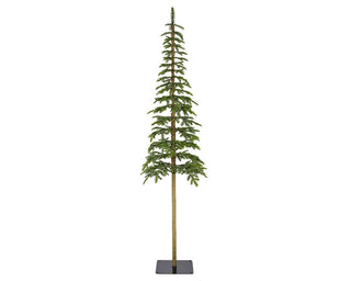 Alpine Fir Evergreen Slim Tree 2.1m