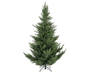 Norway Spruce Christmas Tree - 210cm