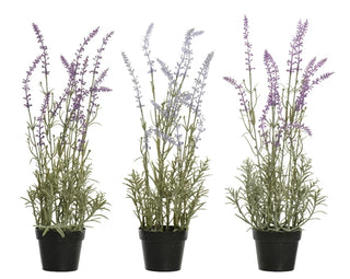 Artificial Lavender in Pot - Assorted Colours