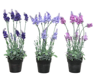 Artificial Angustifolia Lavender in Pot - Assorted Colours