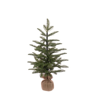 Pine Tree In Burlap 66cm