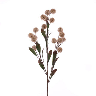 Natural Pom Pom Spray 86cm