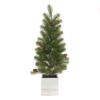 Pine Tree In Wooden Box 63cm