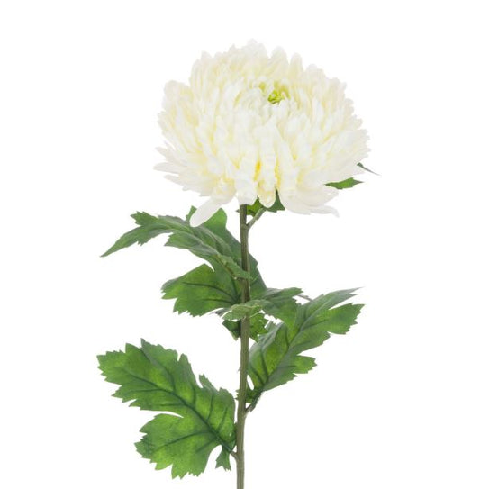 Chrysanthemum Spray 75cm White/Green