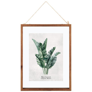 Musa Beccarii Photo Print Frame