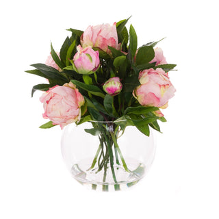 Pink Peonies in Globe