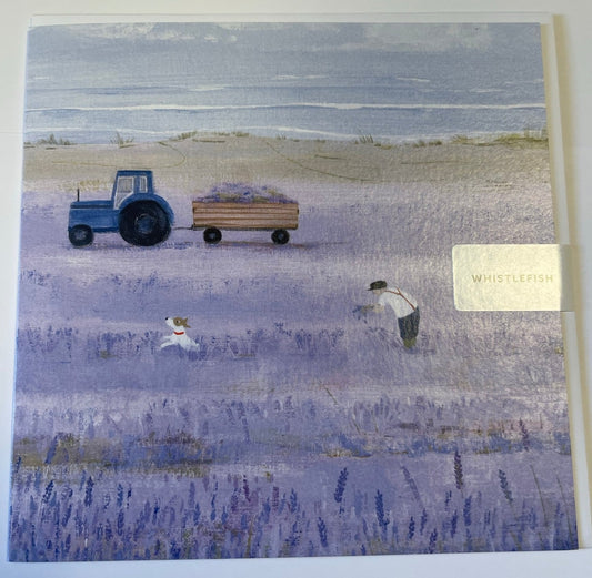 Lavender Fields Art Card