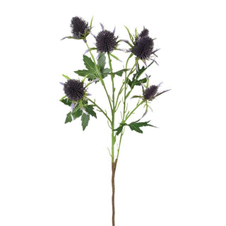 Eryngium Thistle Spray with Leaves