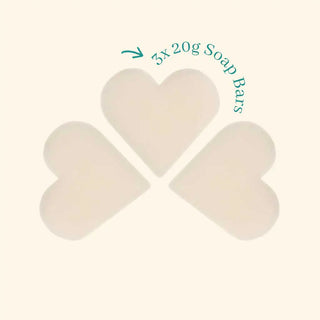 Frosted Fir & Holly Guest Soap