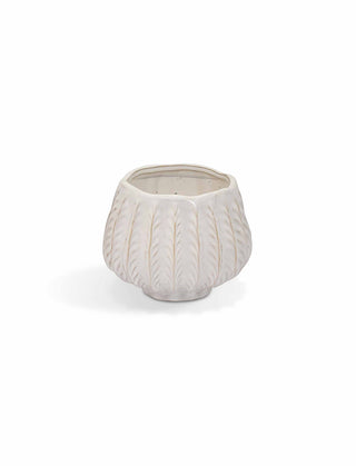 Osmington Pot Small