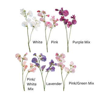 Sweet Pea Spray White