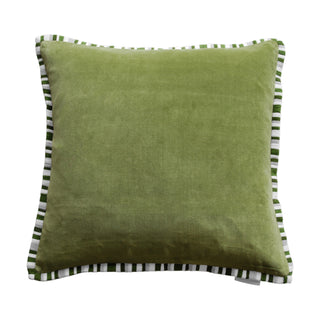 Zebra Cushion Grass