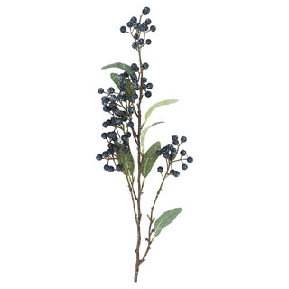 Blueberries with Foliage Spray