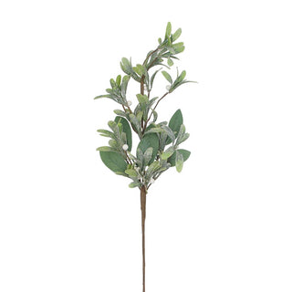 Green White Berry Leafy Stem