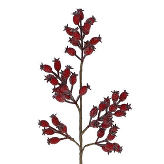 Red Rosehip Stem