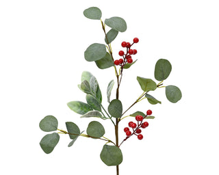 Eucalyptus & Red Berries Spray