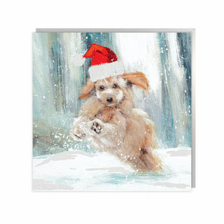 Santa Puppy Christmas Cards 6Pk