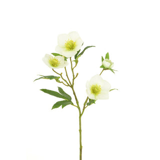 Cream Hellebore Spray 45cm