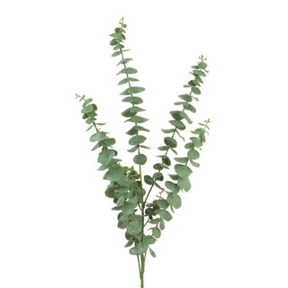 Eucalyptus 5 Stem Spray