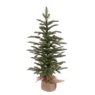 Pine Tree In Burlap 81cm
