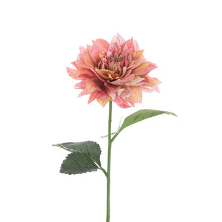 Juliet Dahlia Pink/Green Stem