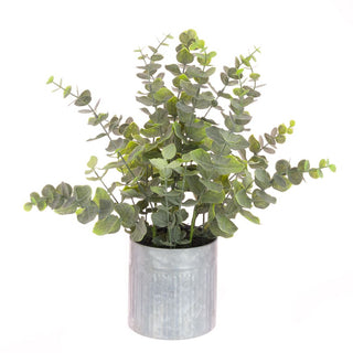 Eucalyptus in Tin Pot 48cm